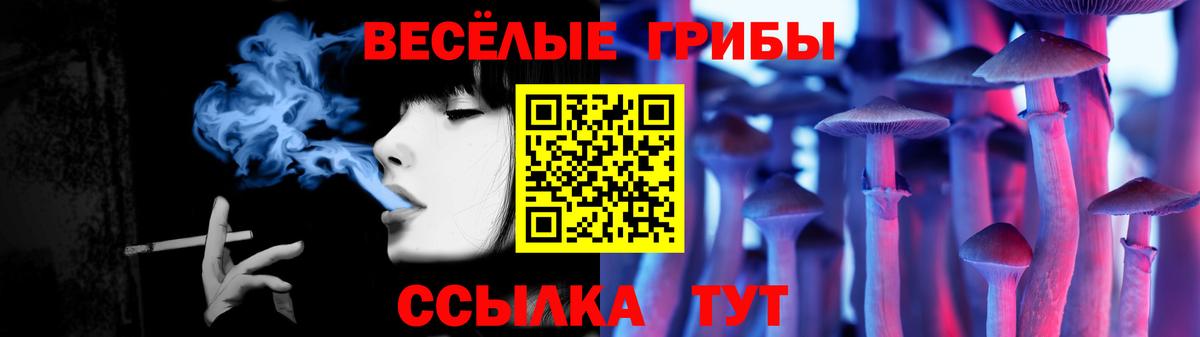Галлюциногенные грибы Psilocybine cubensis Заречный